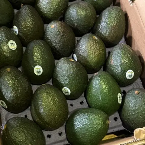 Aguacates Hass en caja