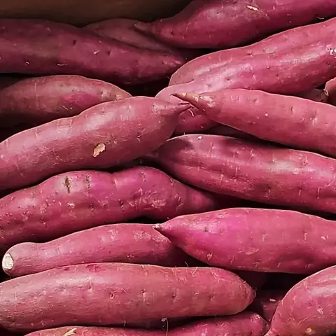 Camote morado