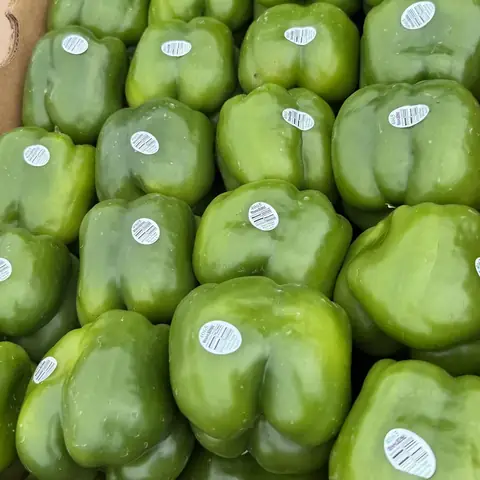 Pimiento verde