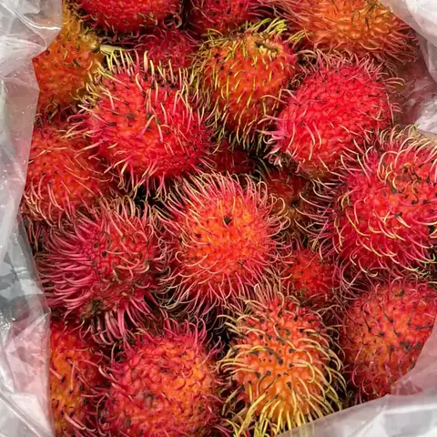Rambután
