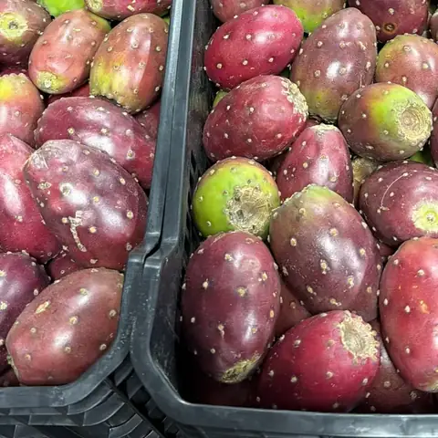 Tunas rojas